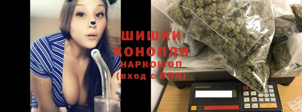 стаф Белокуриха