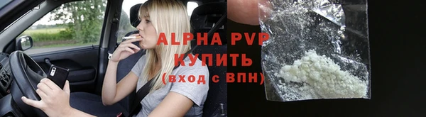 стаф Белокуриха