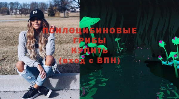 стаф Белокуриха