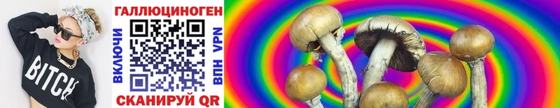 Галлюциногенные грибы Cubensis  Кузнецк 