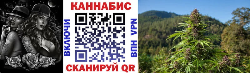 Каннабис AK-47  как найти закладки  Кузнецк 